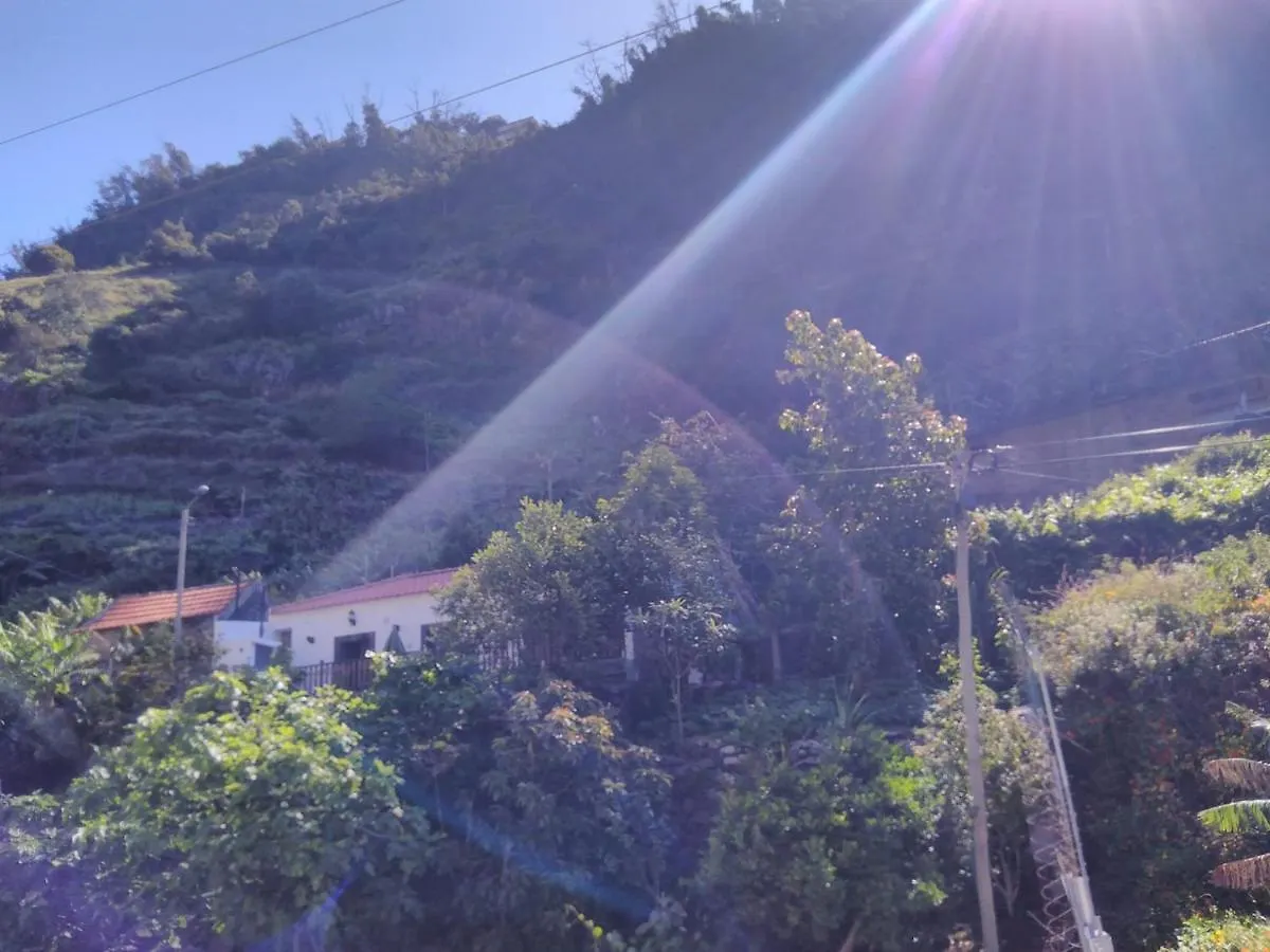 Casa Da Faja Daire Funchal